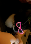 Jimmybow
