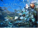 Save The Oceans!
