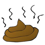 Turd > All
