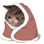 Poor Kitty