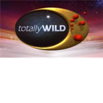 The Wild Peoplez