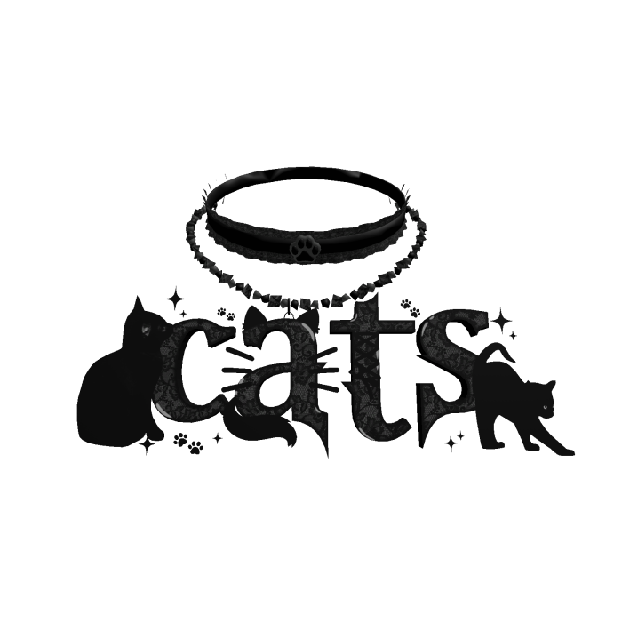 ┆black cats ৎ