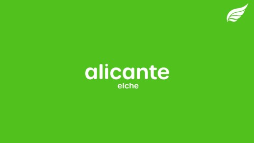 Alicante Elche