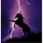 Thundercloud Ally Stables