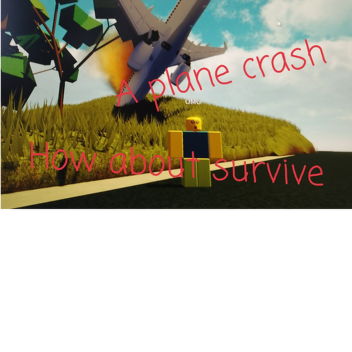 How About Survive A Plane Crash?