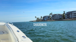 Shadow26 Official Group