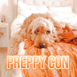 Preppy Con