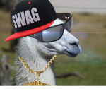 Lama games.inc/Pros only