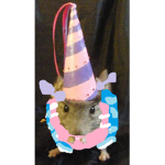 Princess Rat Fan Club