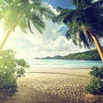 The Tropical Discovered!