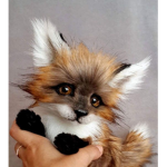 foxnation