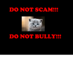 ANTI SCAMS AND BULLING