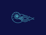 Blue nautilus