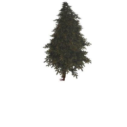 Model fruit loop tree