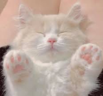 Zzz"