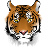 The Dedicated Tigers