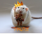 Rat King's!