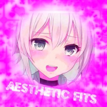 -Aesthetic Fits-