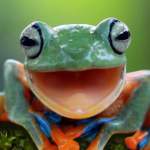 frog united | clan