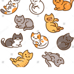 chuby cats