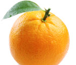 WeAreSoda