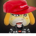 Krullest is the name 1