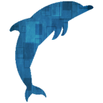 Dolphin®