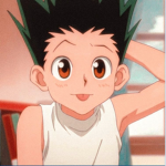 Hxh fans ye cool