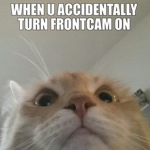 oBLUETIGERo