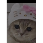 Meow For me
