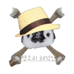 펭도리 해적단