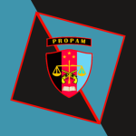 KPRI | Profesi Dan Pengamanan