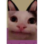 Cheesycrackers