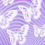 || Exquisité ||