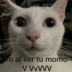 Mike y el ajolote