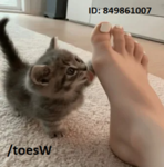 white toes OT