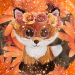 Beanie boo fan club
