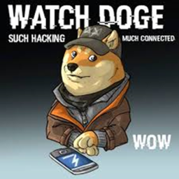 Doge war {PRE ALPHA}