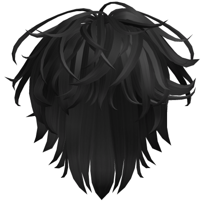 Black Shaggy Hair