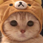 KITTY_GANG