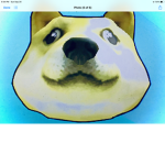 Doge new United