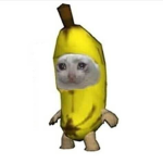 Nana's frog
