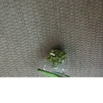 Grape o c s