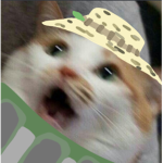 늅 뉴비
