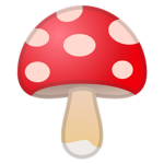 Mushroom Bestiezz