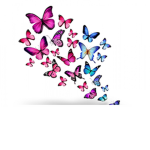 Hi guys nice to meet u
