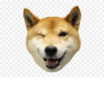 My roblox account