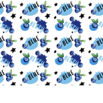 Lily’s Blueberry’s