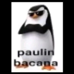 Agiotas dos Pingu