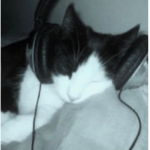 .phoebe Group Thumbnail
